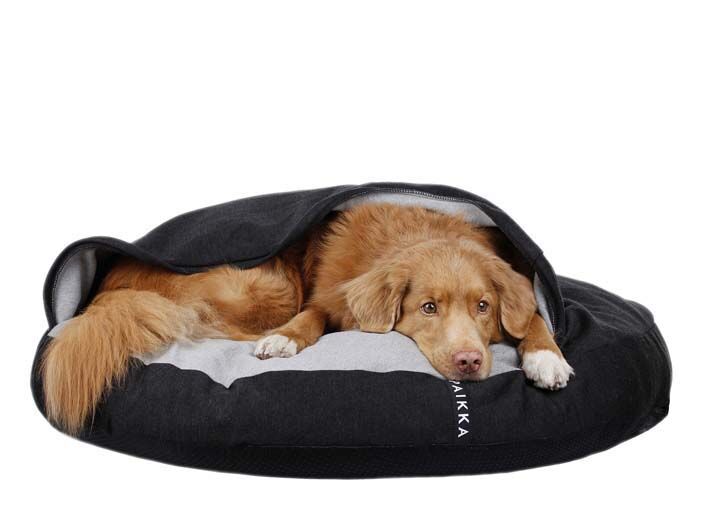 DOG-BEDS-Paikka_1.jpg